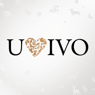 Статистика Дзен UVIVO | КОНСЬЕРЖ СЕРВИС МОСКВА