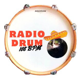 Статистика Дзен Drum speech 