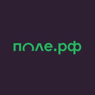 Дзен поле.рф статистика