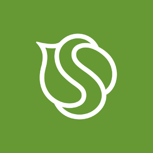 Статистика Дзен SYNERGETIC
