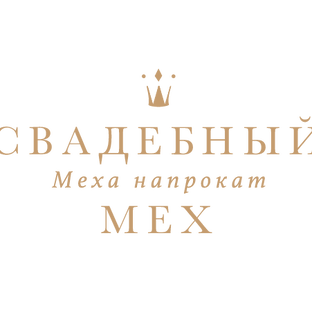 Статистика Дзен Свадебные шубки и накидки напрокат