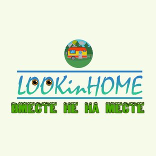 Статистика Дзен LOOKinHOME