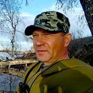 Статистика Дзен Причулымье. Life