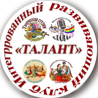 Статистика Дзен Интегрированный развивающий  клуб " Талант" 