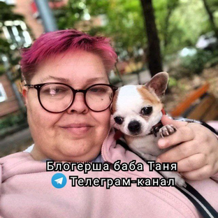 Дзен Блогерша баба Таня статистика