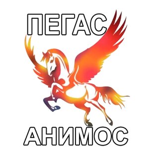 Статистика Дзен Пегас Анимос