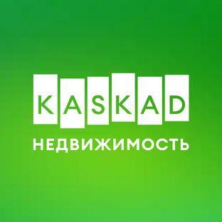 Статистика Дзен KASKAD Недвижимость