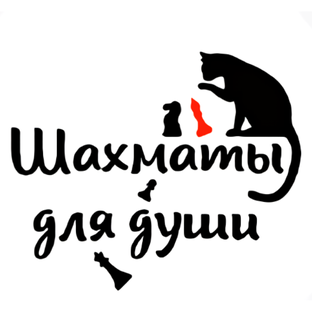 Статистика Дзен Шахматы для души