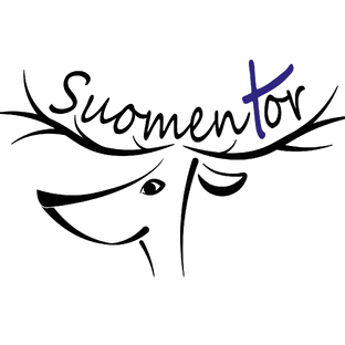 Статистика Дзен Suomentor - Финский язык, Финляндия и культура 