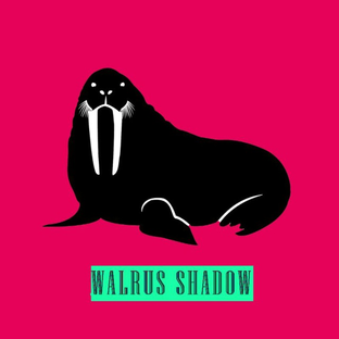 Дзен [Walrus Shadow] статистика