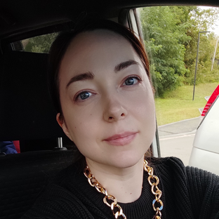Статистика Дзен TASHA'STITCH