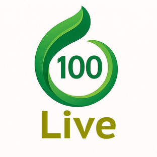 Статистика Дзен Live100