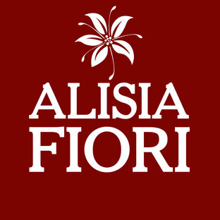 Статистика Дзен Alisia Fiori