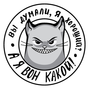 Статистика Дзен Котики