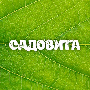 Статистика Дзен Садовита – дачная находка!