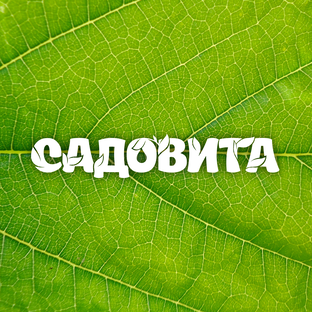 Садовита – дачная находка!