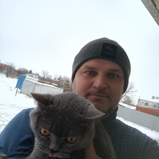Статистика Дзен Посмотри, что я нашёл