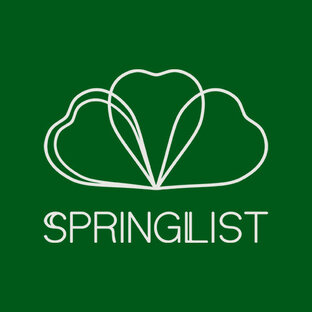 Статистика Дзен SPRINGLIST - натуральная косметика для ухода