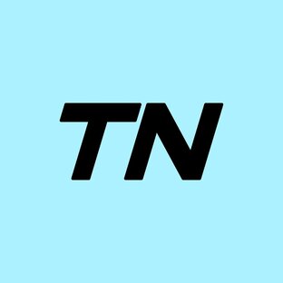 Дзен TN статистика