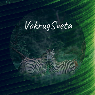 Статистика Дзен VokrugSveta
