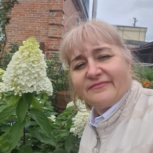 Статистика Дзен Садовые страсти