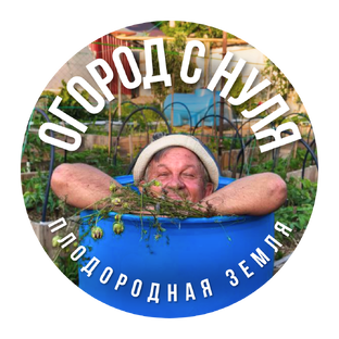 Статистика Дзен Огород с нуля-плодородная земля