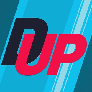 Статистика Дзен Dreid Up Gaming