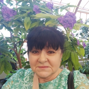 Статистика Дзен А жизнь идёт своим чередом. 