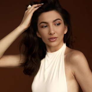Статистика Дзен SeniTa Stylist
