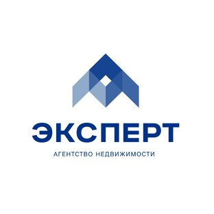 Статистика Дзен Эксперт Агентство Недвижимости