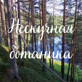 Статистика Дзен Нескучная ботаника