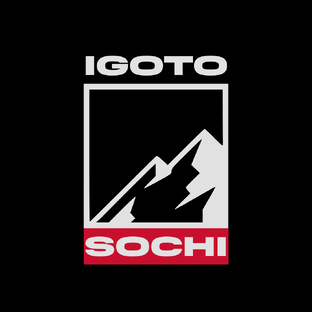 Статистика Дзен igotosochi | инвестиции
