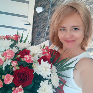 Дзен Огород Коротко и Ясно статистика