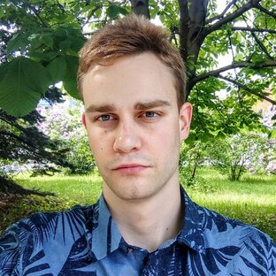 Статистика Дзен Дмитрий Петраков