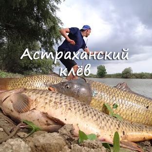 Статистика Дзен Астраханский клев