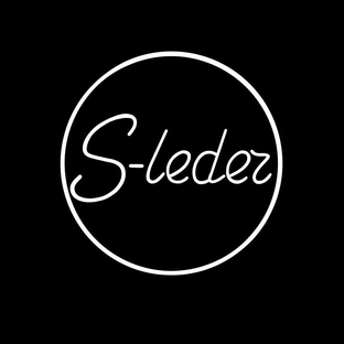 Статистика Дзен S-LEDER 