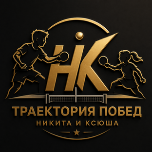 Статистика Дзен НК Траектория побед