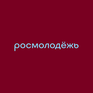 Статистика Дзен Росмолодёжь