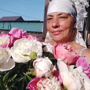 Статистика Дзен Из Тюмени с любовью к цветам