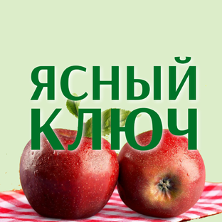 Статистика Дзен Сетевое издание «Ясный Ключ»