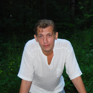 Статистика Дзен Андрей Жвакин