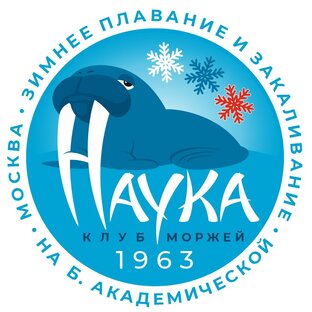Дзен Моржевание, зимнее плавание, закаливание статистика