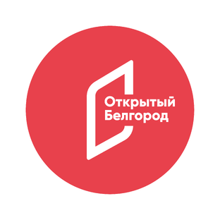 Статистика Дзен Открытый Белгород