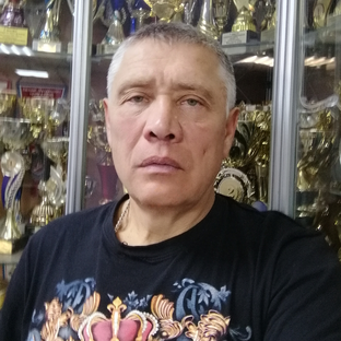 Статистика Дзен Александр Комиссаров Терлецкий парк