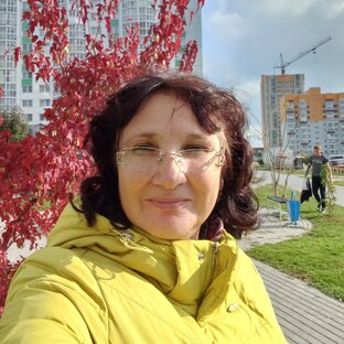 Статистика Дзен Светлана Алта