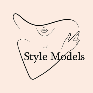 Статистика Дзен styleModels