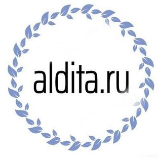 Статистика Дзен Туристический сервис Aldita.ru