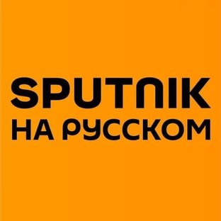 Статистика Дзен Sputnik на русском