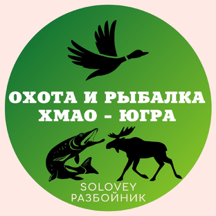 Статистика Дзен СОЛОВЕЙ РАЗБОЙНИК. Охота рыбалка