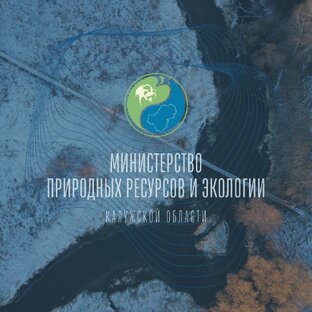 Статистика Дзен Минприроды Калужской области